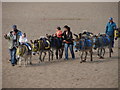 TF5763 : Donkey Ride at Skegness Beach by Ian Paterson