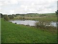 Tippings Wood pond