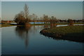 SJ3017 : River Severn near Llandrinio - In flood 10 Dec' 2007 by Row17