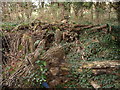 Log pile at Nether Hale Farm