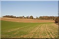 Looking across farmland from Lippen Lane towards Marldell Farm