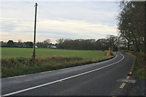 O2049 : Country road looking west near Newbridge Demesne, Donabate, Co. Dublin. by Colm O hAonghusa
