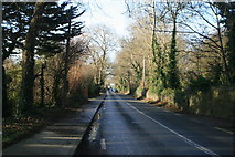 O2249 : Country road looking west, near Newbridge Demesne, Donabate, Co. Dublin by Colm O hAonghusa