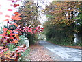 T0430 : Autumnal scene - Garryvarren, Co. Wexford by Jonathan Billinger