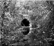 SD9148 : Old railway tunnel, Thornton-in-Craven, Yorkshire by Dr Neil Clifton