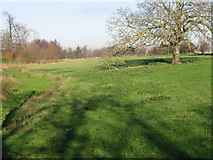 TR3058 : Fields and watercourse near Goss Hall by Nick Smith