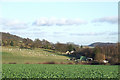 Turnip Field and Hillside, Ruckley, Shropshire