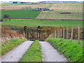 Track to Hilton Farm Cottage