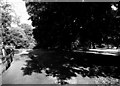 Footpath around the lake, Alexandra Park