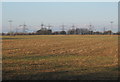 Distant view of pylons at substation north of Burstall