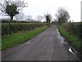 J0485 : Ballynacooley Road, Lough Neagh by Kenneth  Allen