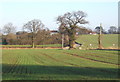 Fields east of Burstall