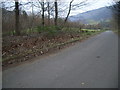 Looking down the lane