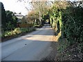 View along Willow Road, Little Mongeham