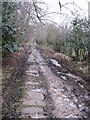 Unmade Lane near Laverton