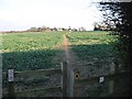 Footpath across the fields