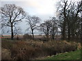 A view of the coast from Warburton