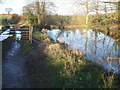 Pond near Castle Green