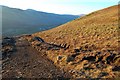 Track above Glen Drynoch