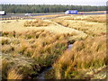 Moorland Between A77 and M77