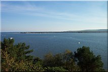 SZ0386 : Studland Peninsula from viewpoint on Brownsea Island by Chris Wood