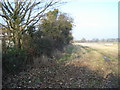 Footpath near Hanley Swan