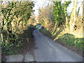 View along Singledge Lane