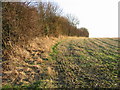 Field boundary along Singledge Lane