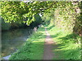 Sheltered towpath