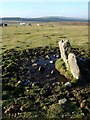 SX2277 : Stone on East Moor by Derek Harper