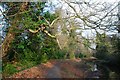 The Lagan towpath