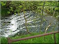 Asfordby weir