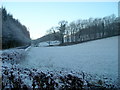 Frosty Hillside Near Riddingshill