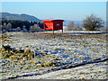 Animal Feeding Area Near Killyleoch