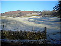 Fields Below Killyleoch Hill