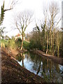 Restored Pond, Hackfall Woods