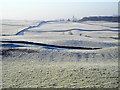 Frosty Fields at Knockshinnoch