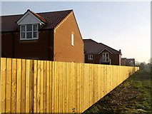 TA1828 : The Long and Straight Wooden Fence by Andy Beecroft