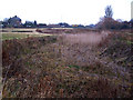 Watercress beds, Newington