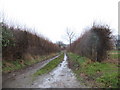 Muddy track near Boycott