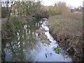 River Rib in Bengeo