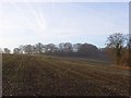 Farmland below Hollandridge Farm