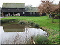 The pond at Bonnington Farm