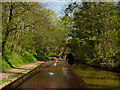 SJ4134 : Approaching Ellesmere Tunnel from the west by Colin Park