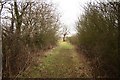 Wetherton Hill footpath