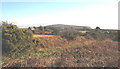 View east across abandoned small holding land