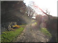 Farm track with public rights of way near Congl-y-gadlys