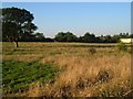 Field near Underhill