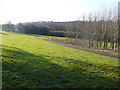 Farm track leading to Hazel Farm