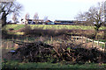 Wood pile and Cottage Farm